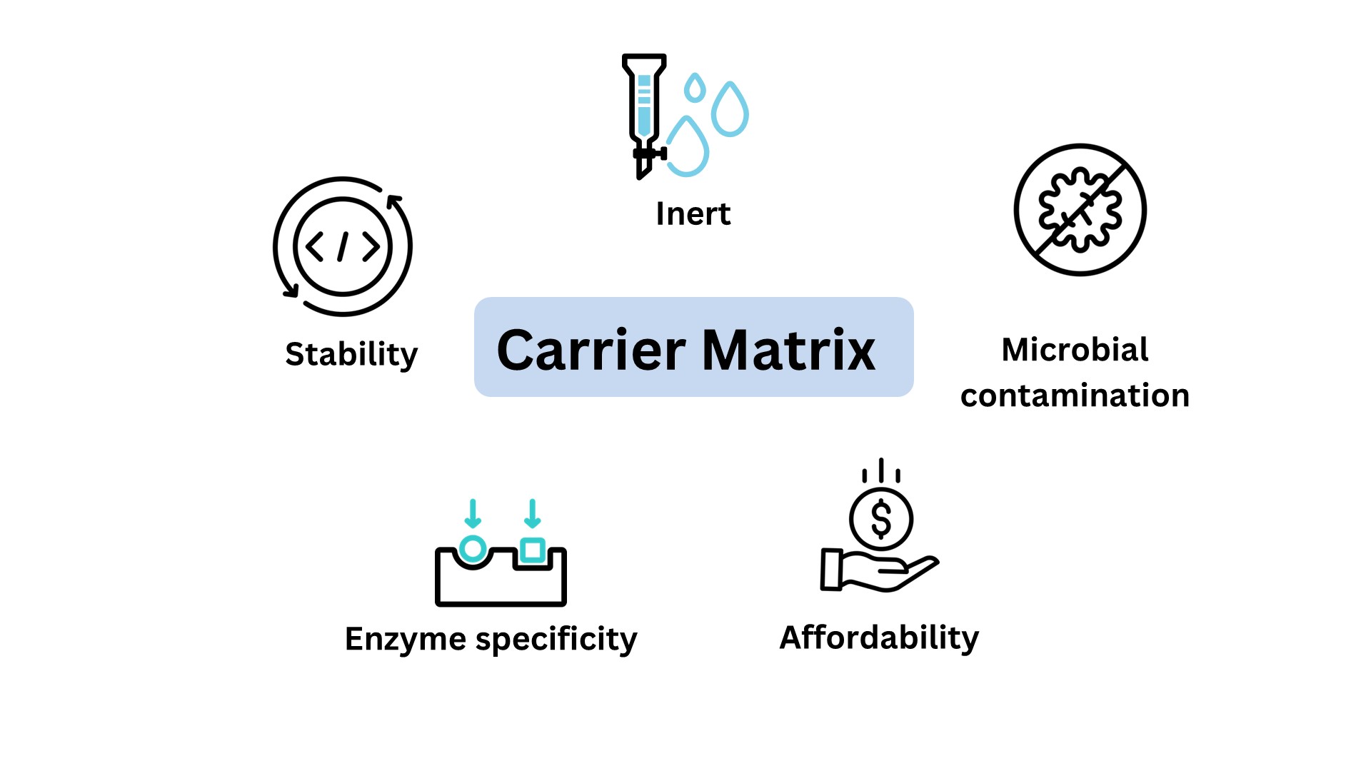 Figure 1: Properties of carrier matrix