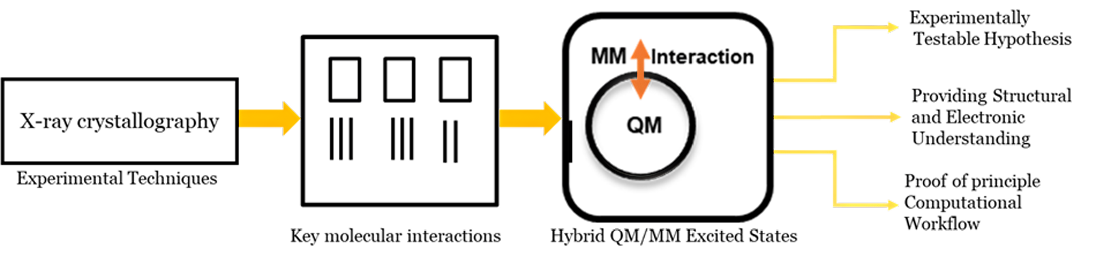 Figure 3. Schematic representation of methodology. The structures obtained from experimental techniques were analysed to identify key molecular interactions. Subsequently, hybrid QM/MM excited-state calculations were performed and compared with the experimental studies.