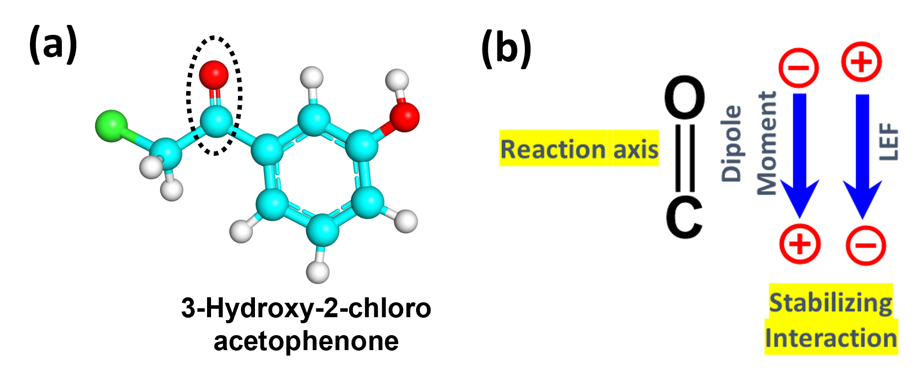 Figure 2: a) Structure of target keto-substrate. b) Defined reaction axis by carbonyl bond of the substrate along with the direction of dipole moment and LEF.