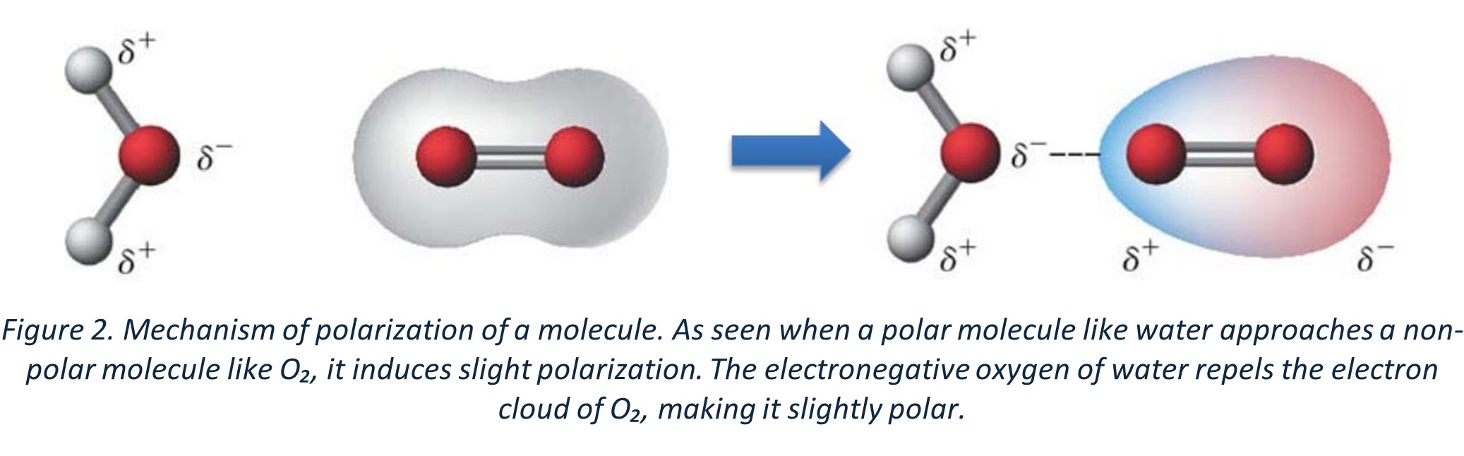 What is polarizability? In some molecules, electrons are spread evenly, and these are called non-polar molecules. In others, like polar compounds (e.g., water), the electrons are already unevenly distributed. However, non-polar molecules can become slightly polar under the influence of an external electric field or neighboring polar molecules. This happens because, as a charged molecule approaches a non-polar compound, it repels or attracts the electron cloud based on the influence of this approaching charg