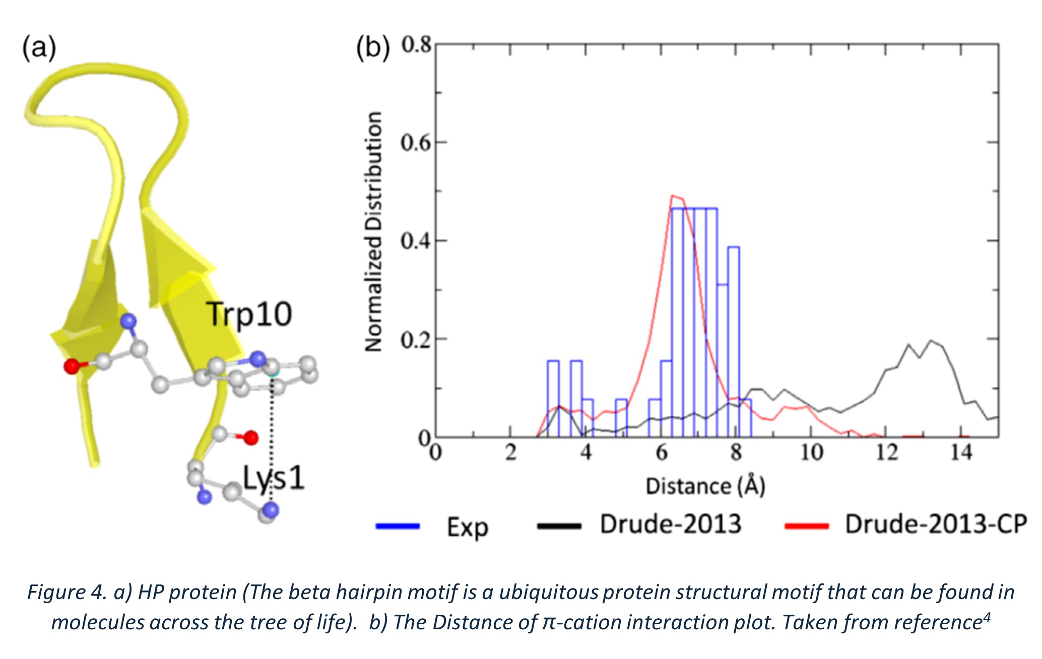 Figure 4. a) HP protein (The beta hairpin motif is a ubiquitous protein structural motif that can be found in molecules across the tree of life).  b) The Distance of π-cation interaction plot. Taken from reference4